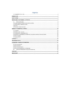 Metode de Lansare și Comercializarea Produselor din Cadrul Firmei - Pagina 2