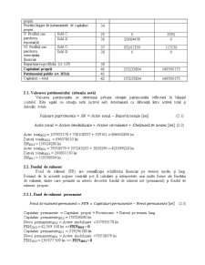 Management financiar și analiza activității economice compania SC Agrana România SA - Pagina 5