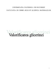 Valorificarea Glicerinei - Pagina 1