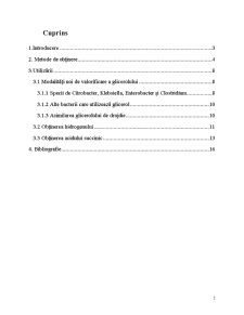 Valorificarea Glicerinei - Pagina 2