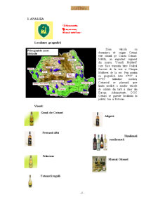Tehnici promoționale - vin Cotnari - Pagina 2