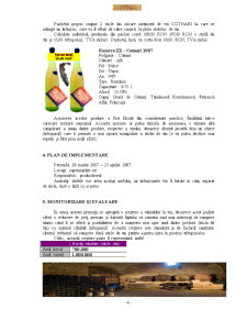Tehnici promoționale - vin Cotnari - Pagina 4