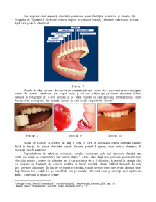 Cercetarea tehnico - științifică a urmelor de dinți - Pagina 3