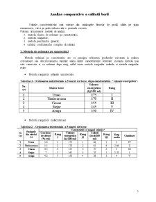 Analiza comparativă a calității berii - Pagina 2