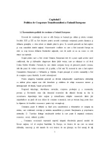 Politici de coeziune teritorială în România. Programul de Cooperare Transfrontalieră România-Ungaria - Pagina 5