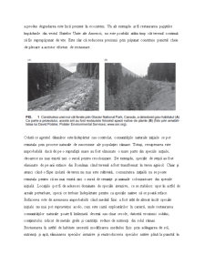 Restaurare Ecologică - Pagina 3