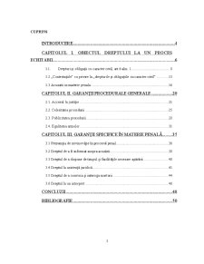 Dreptul la un proces echitabil, jurisprudența CEDO și jurisprudența împotriva României - Pagina 3