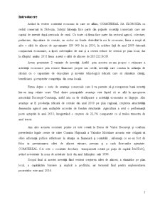 Studiu de Fezabilitate ComCereal SA Slobozia - Pagina 3