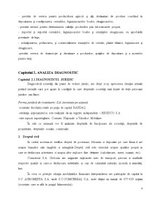 Studiu de Fezabilitate ComCereal SA Slobozia - Pagina 5