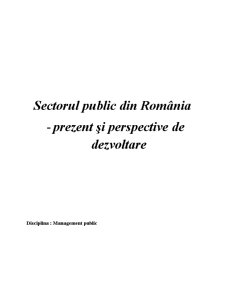 Management Public - Sectorul Public din România - Prezent și Perspective de Dezvoltare - Pagina 1