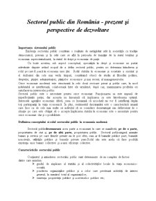 Management Public - Sectorul Public din România - Prezent și Perspective de Dezvoltare - Pagina 2