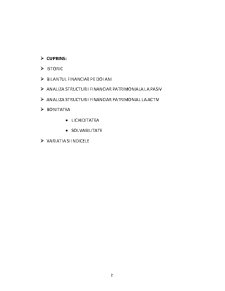 Proiect analiza financiară - SC Conf Ramona SRL - Pagina 2