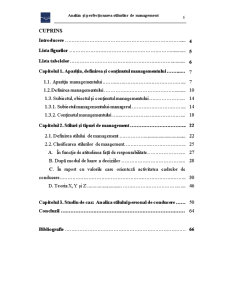 Analiza și Perfecționarea Stilurilor de Management - Pagina 4