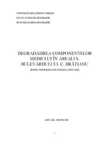 Degradadrea componentelor de mediu în arealul Bulevardului I. C. Brătianu - Pagina 1