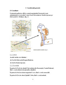 Degradadrea componentelor de mediu în arealul Bulevardului I. C. Brătianu - Pagina 4