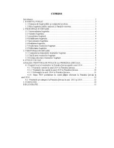 Analiza Veniturilor Publice la Primăria Șercaia - Pagina 2