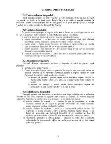 Analiza Veniturilor Publice la Primăria Șercaia - Pagina 5