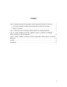 Analiza surselor de finanțare ale întreprinderii Titan - Echipamente Nucleare SA București - Pagina 2