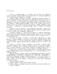 Auditul Managementului Proiectului - Modernizarea Parcurilor Balneare din Statiunea Calimanesti-Caciulata - Pagina 3