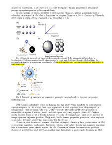 Perspectivă Biotehnologică Privind Aplicarea Coloizilor Magnetici de Oxid de Fier Modificati cu Polizaharide - Pagina 2