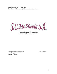 Inițierea micilor afaceri - SC Moldavia SA - Pagina 1