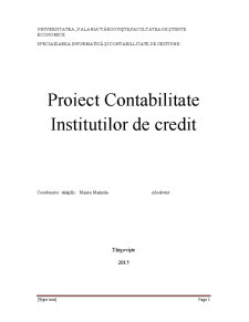 Contabilitatea instituțiilor de credit - Pagina 1