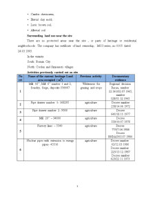 The Rapid Impact Assessment Matrix - Pagina 3