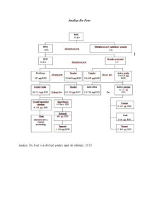 Analiza Situației Financiare a Firmei Boromir - Pagina 4