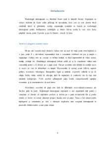 Analiză culturala a piețelor externe - Pagina 3