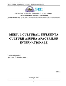 Mediul cultural și influența culturii asupra afacerilor internaționale - Pagina 2