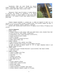 Realizarea Proiectului Cathedral Plaza București - Pagina 4