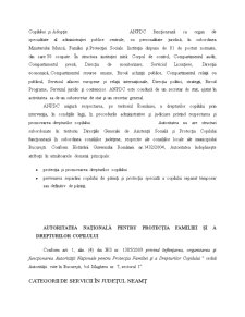 Studierea Comportamentului Copilului Provenit din Medii Defavorizate și Marginalizate Social Centrul de Zi Casa Castani PIATRA-NEAMȚ - Pagina 5
