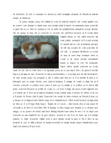 My pet - Pisica - Pagina 5