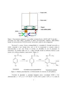 Biosenzori Enzimatici - Pagina 3