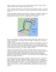 Implicațiile economice și politice ale canalelor Sulina și Dunăre-Marea Neagră ca urmare a traficului de mărfuri - Pagina 4