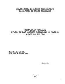 Șomajul în România - studiu de caz analiza șomajului la nivelul Județului Tulcea - Pagina 2