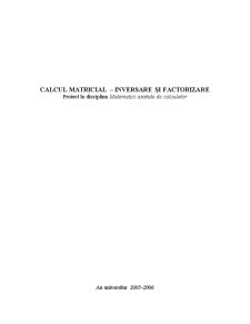 Calcul Matricial - Inversare și Factorizare - Pagina 1