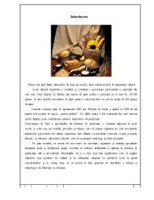 Tehnologia de Preparare a Chiflei și Franzelei - Pagina 3