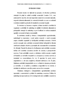 Proiectarea si Perfectionarea Strategiei de Piata la SC Comaico SA - Pagina 1