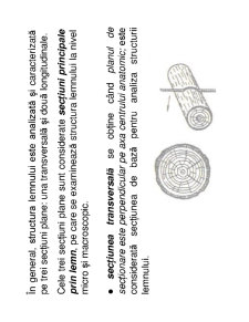 Anatomia Lemnului - Pagina 3