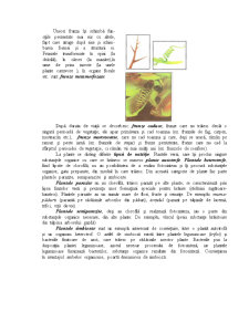 Funcțiile Frunzei - Pagina 3
