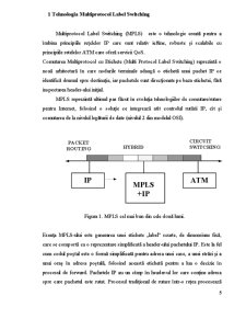 Tehnologia Multiprotocol Label Switching (MPLS) - Pagina 4