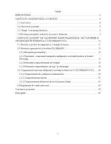 Particularități de organizare și concepție la SC Flormang SRL - Pagina 1