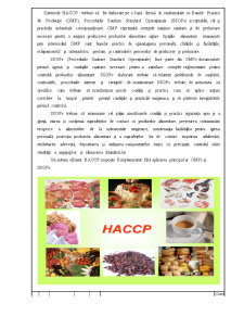 Aplicarea Sistemelor de Calitate HACCP - Pagina 3