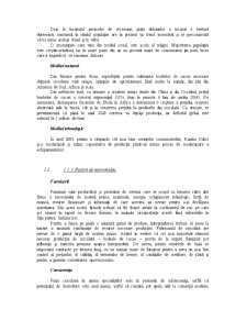 Strategii de produs - Rom napolitană - Pagina 5