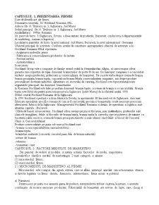 Analiza Factorilor Marketingului Pentru Hochland România - Pagina 3