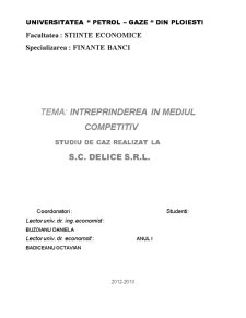 Studiu de caz - întreprinderea în mediul competitiv - Pagina 1