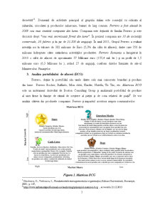 Planificarea Activității de Marketing în Cadrul Companiei Ferrero - Pagina 3