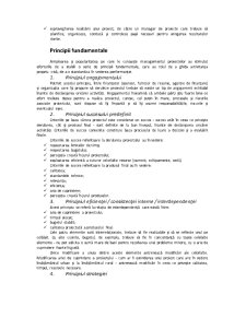 Managementul prin Proiecte - Pagina 3