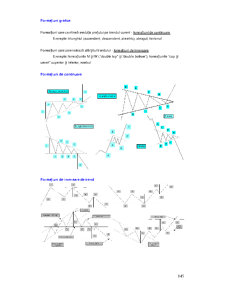 Curs Brokeri - Pagina 60